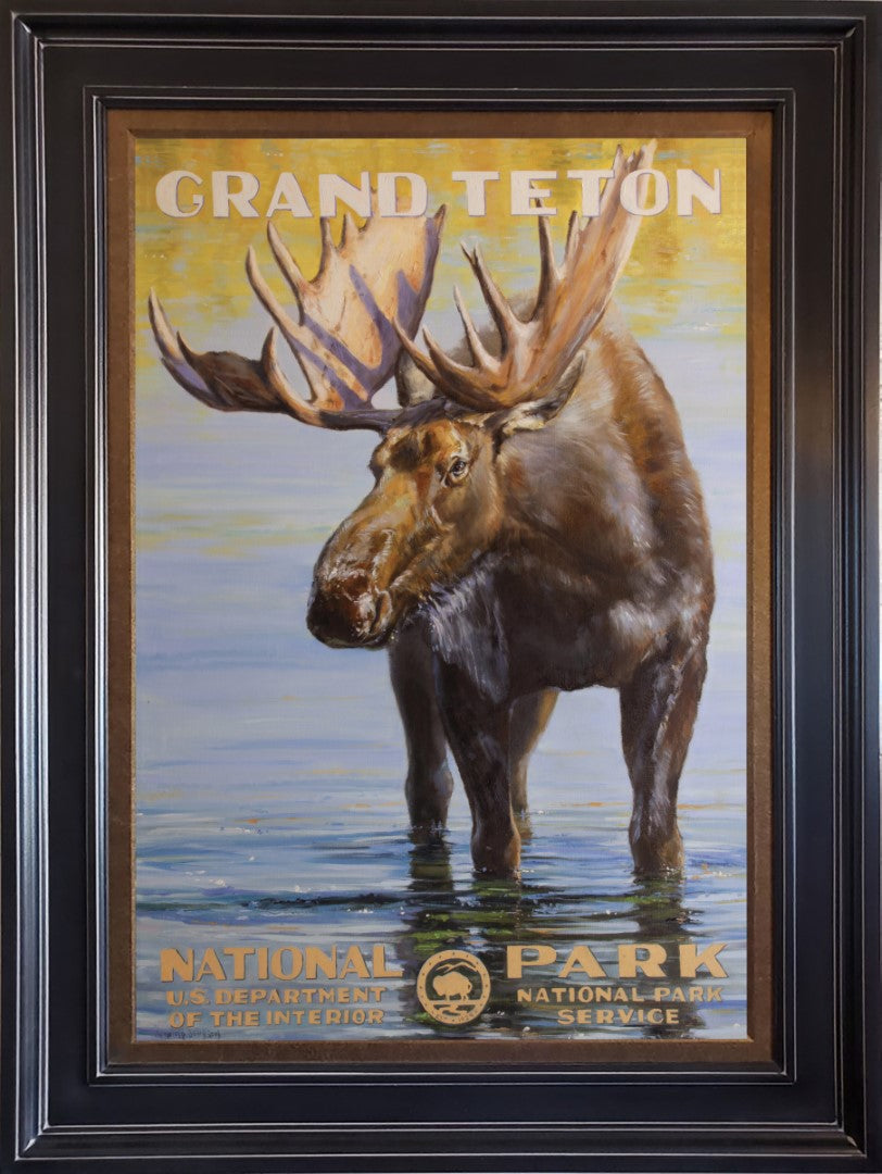 Tetons Moose