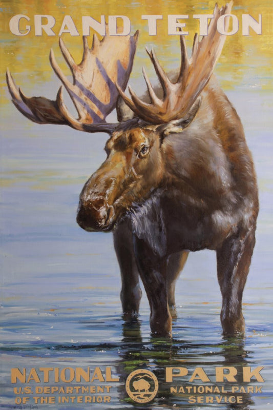 Tetons Moose