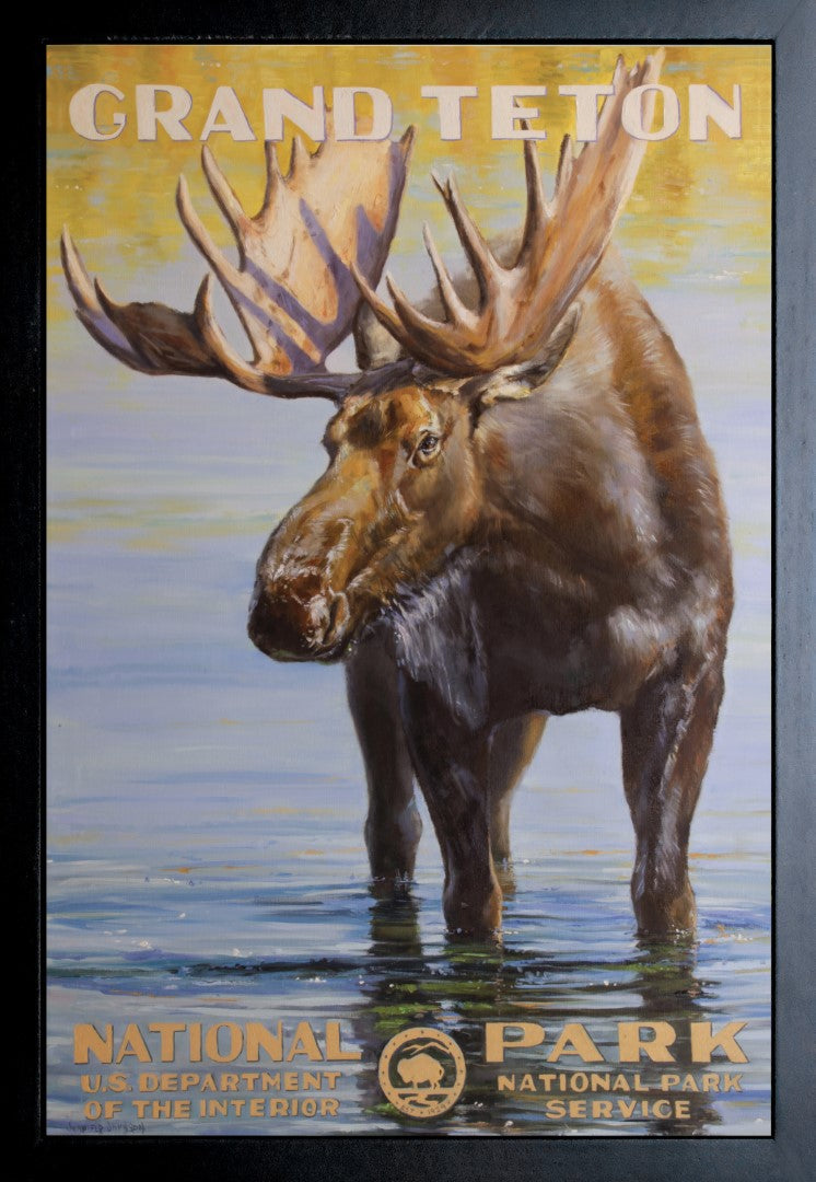 Tetons Moose