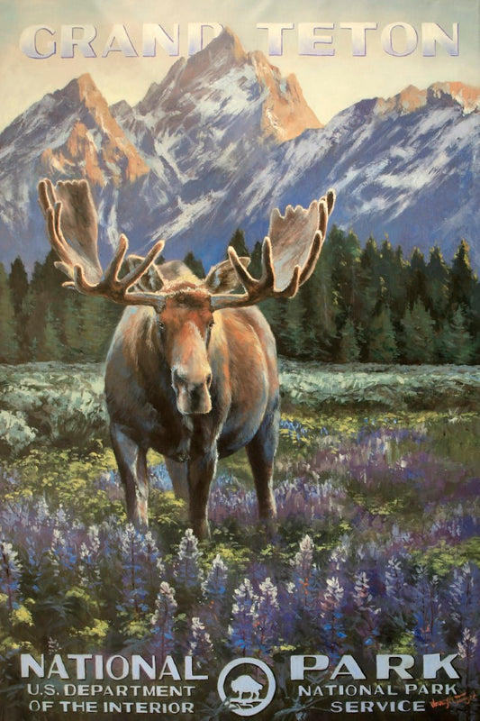 Spring Teton Moose